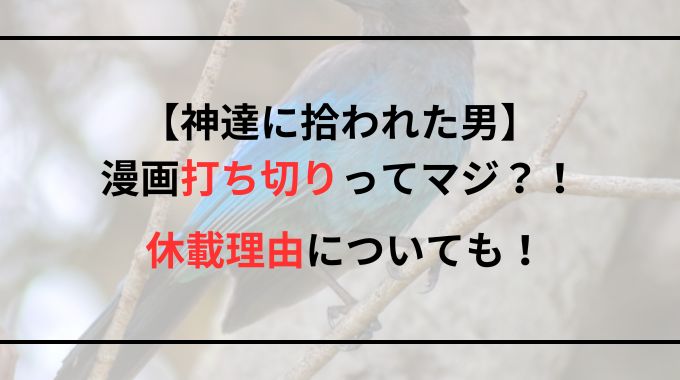 【神達に拾われた男】漫画が打ち切りに？休載の理由を徹底解説！